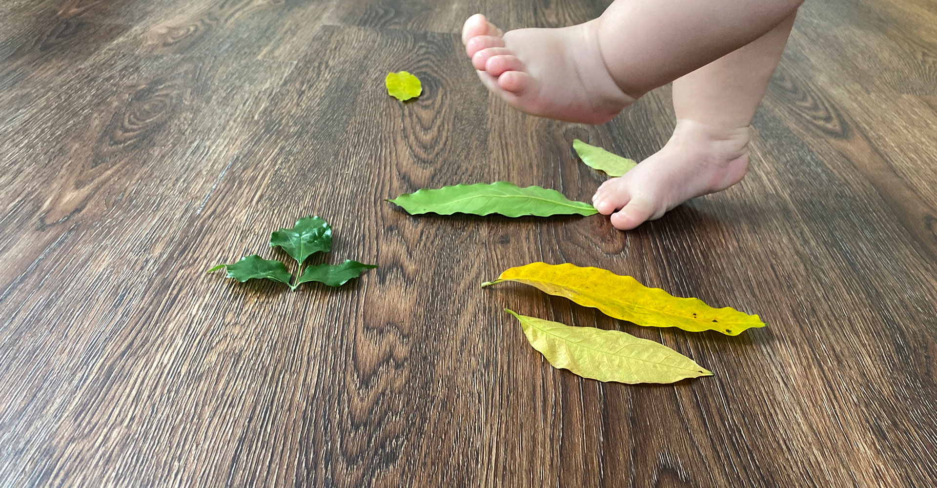 Cocorosa Lvt Flooring